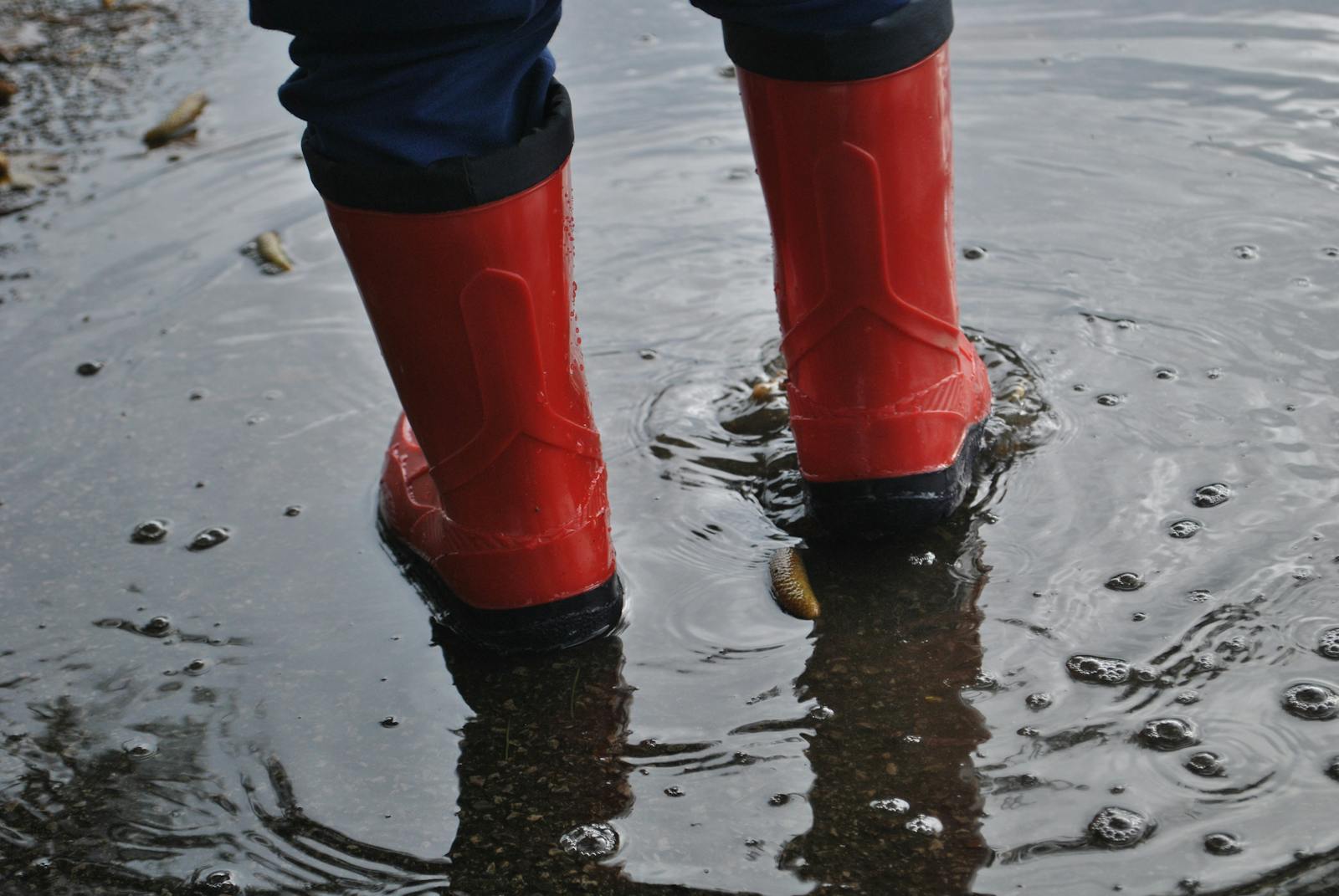 Close-up of red boots standing in a puddle after rain, creating ripples outdoors in Oderzo, Italy.